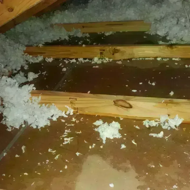 Attic Water Damage in Graniteville, SC